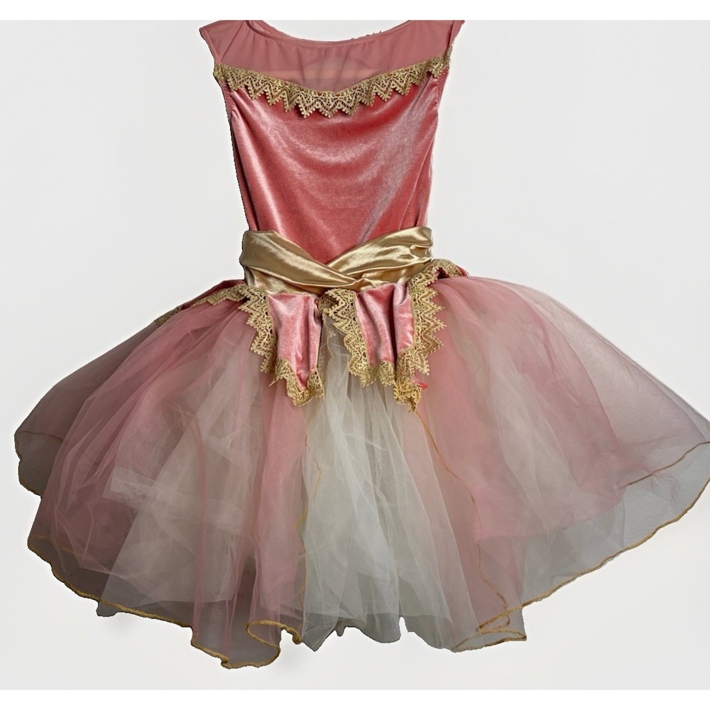 Weissman Small Girls Child Gold And Pink Ballet Dance Costume Tulle